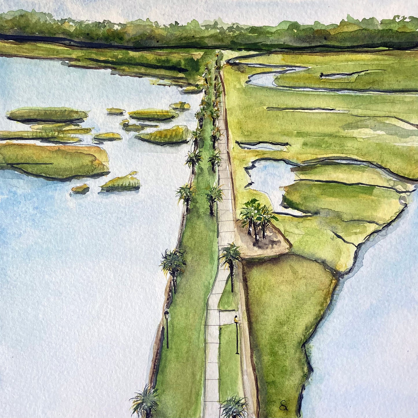 Pitt Street Bridge Aerial