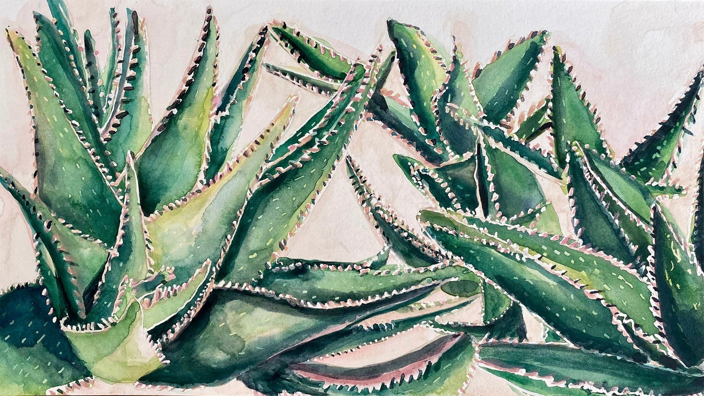 Aloe Plant Giclee Print - Riverlight Art Studio
