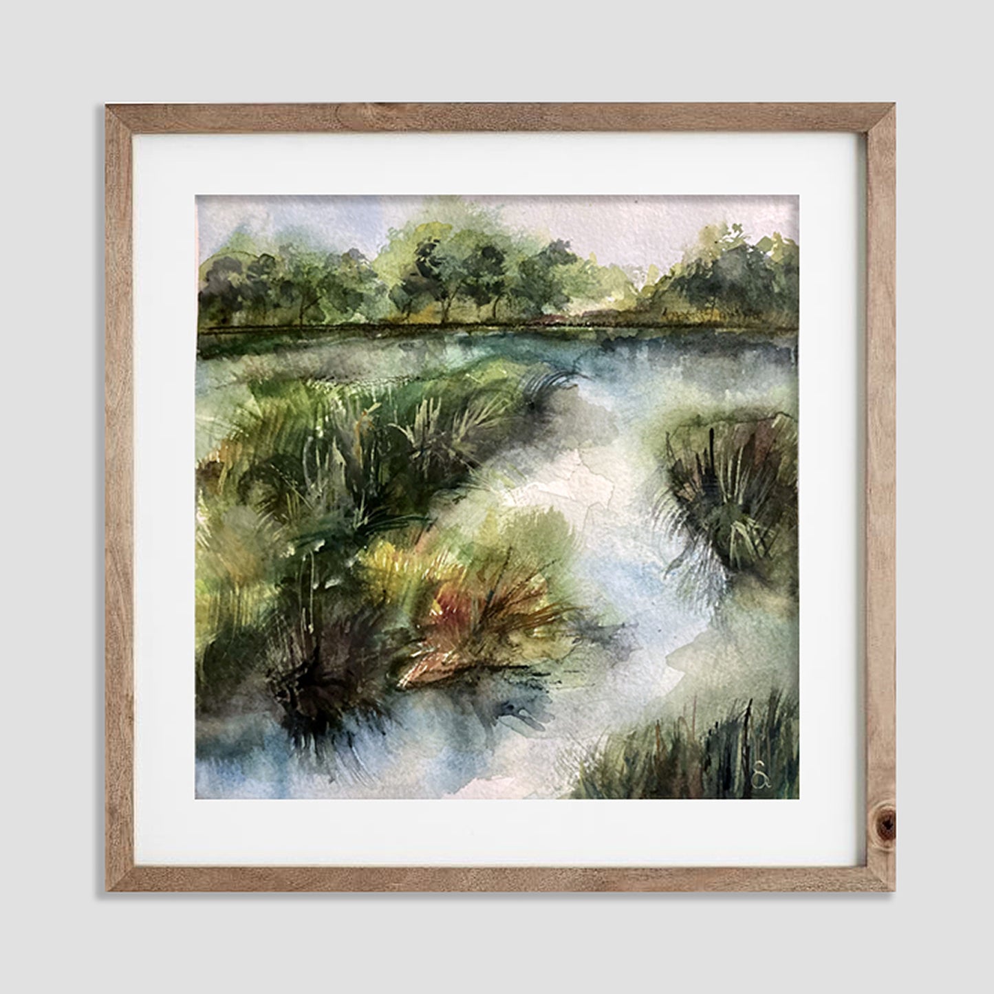 Marsh Study- Edisto River