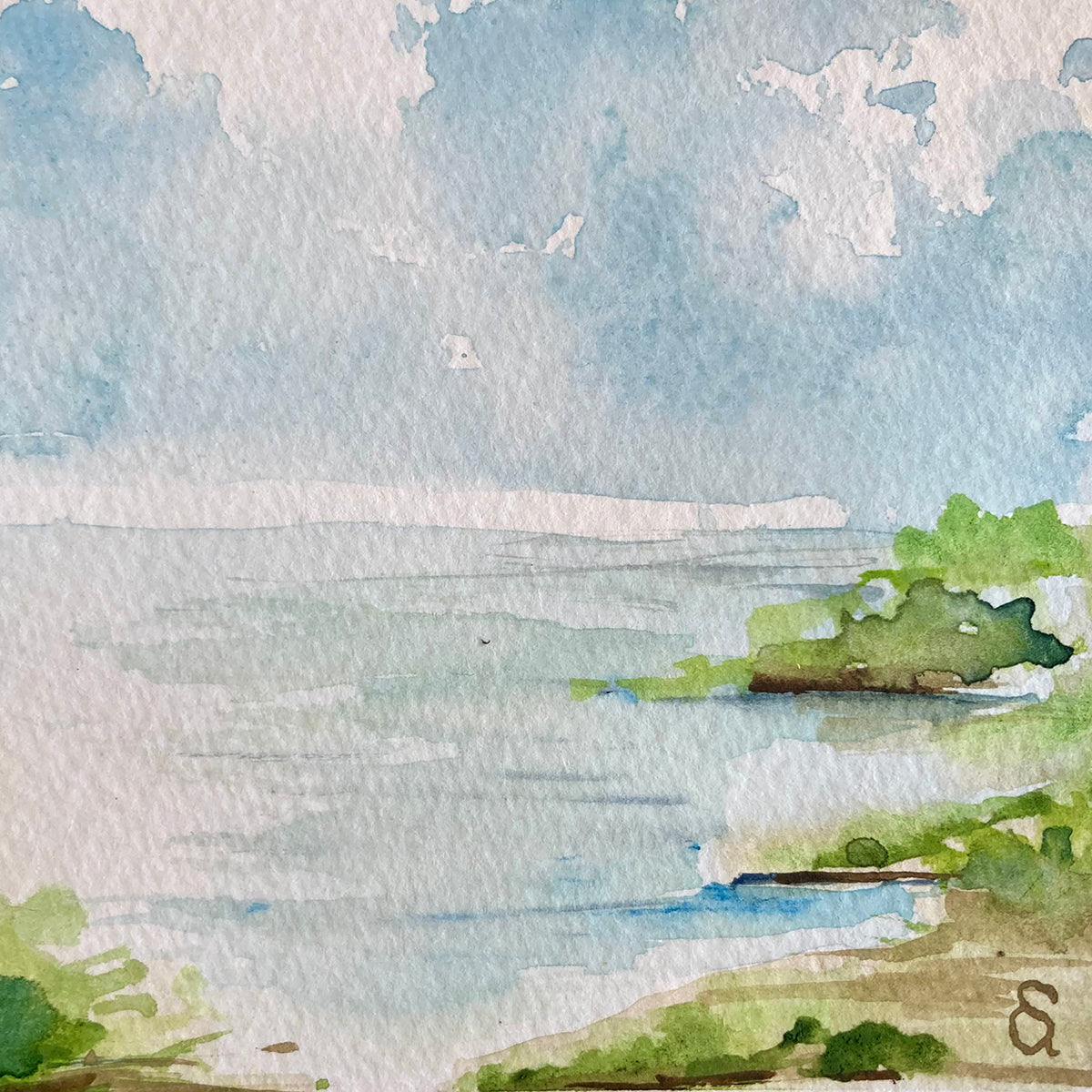 Mini Marsh 3