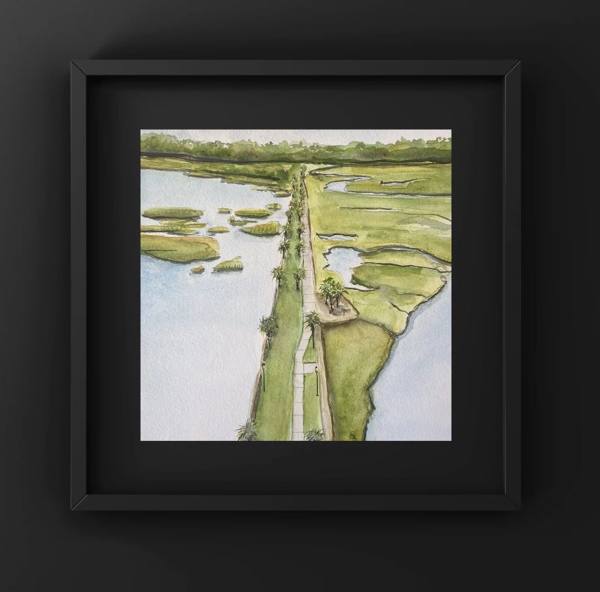Pitt Street Bridge Aerial