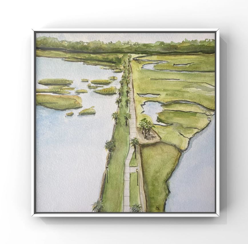 Pitt Street Bridge Aerial