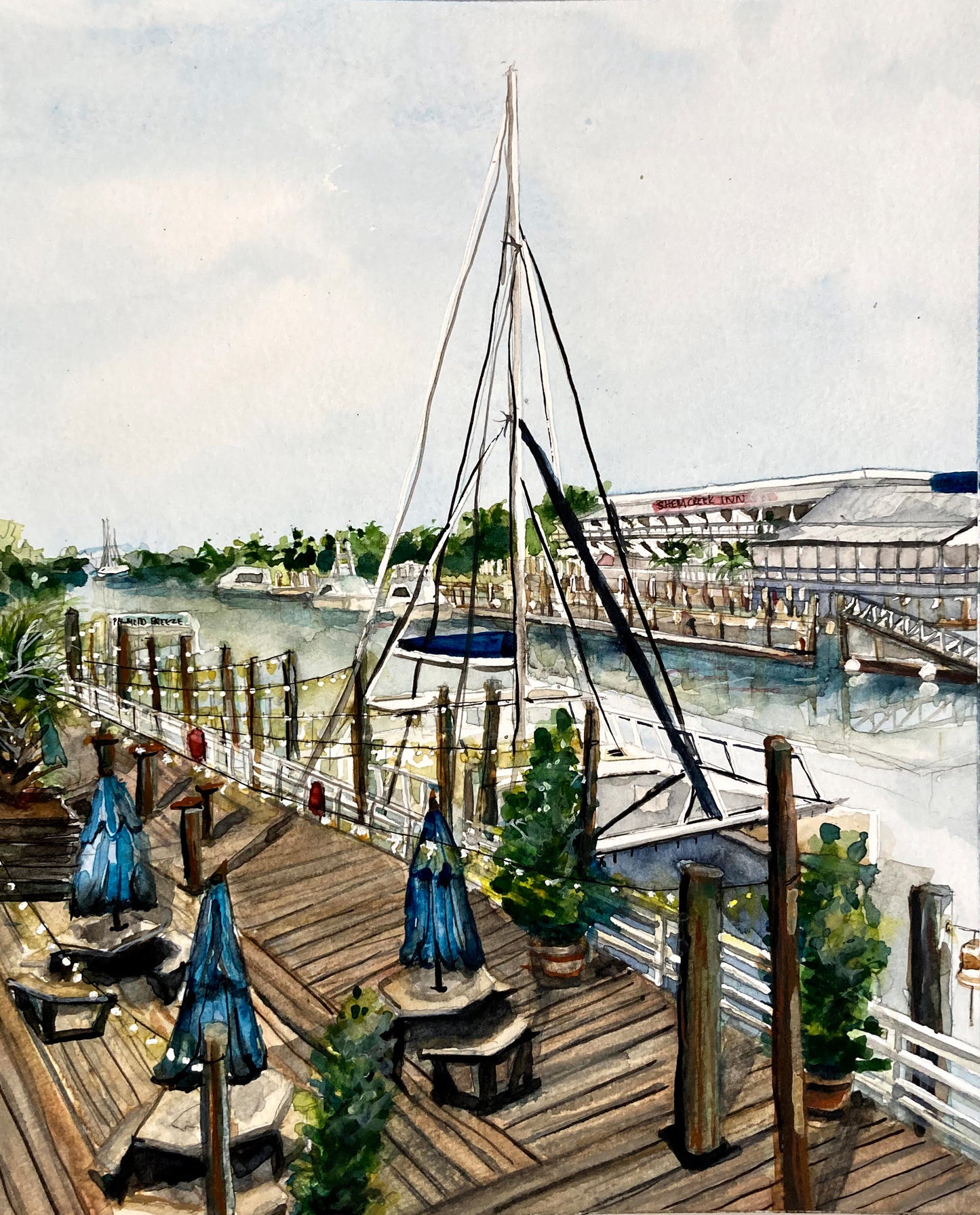 Shem Creek Morning