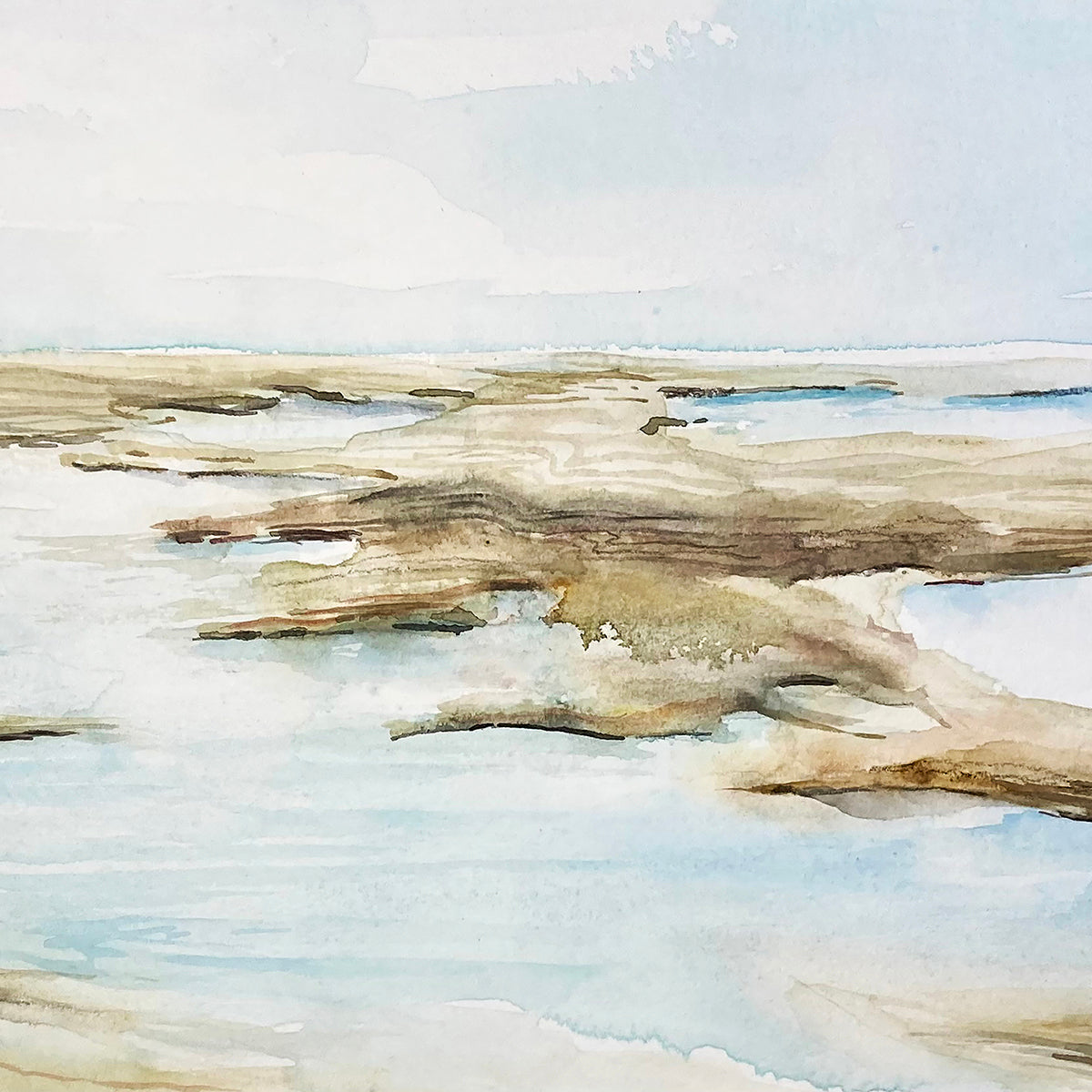 Tidal Pools