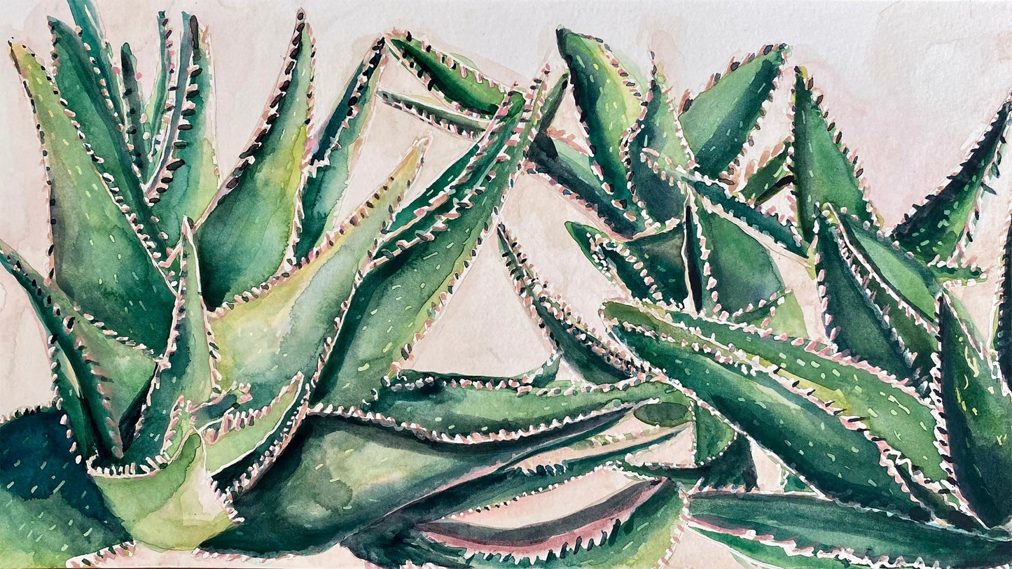 Aloe Plant - Riverlight Art Studio