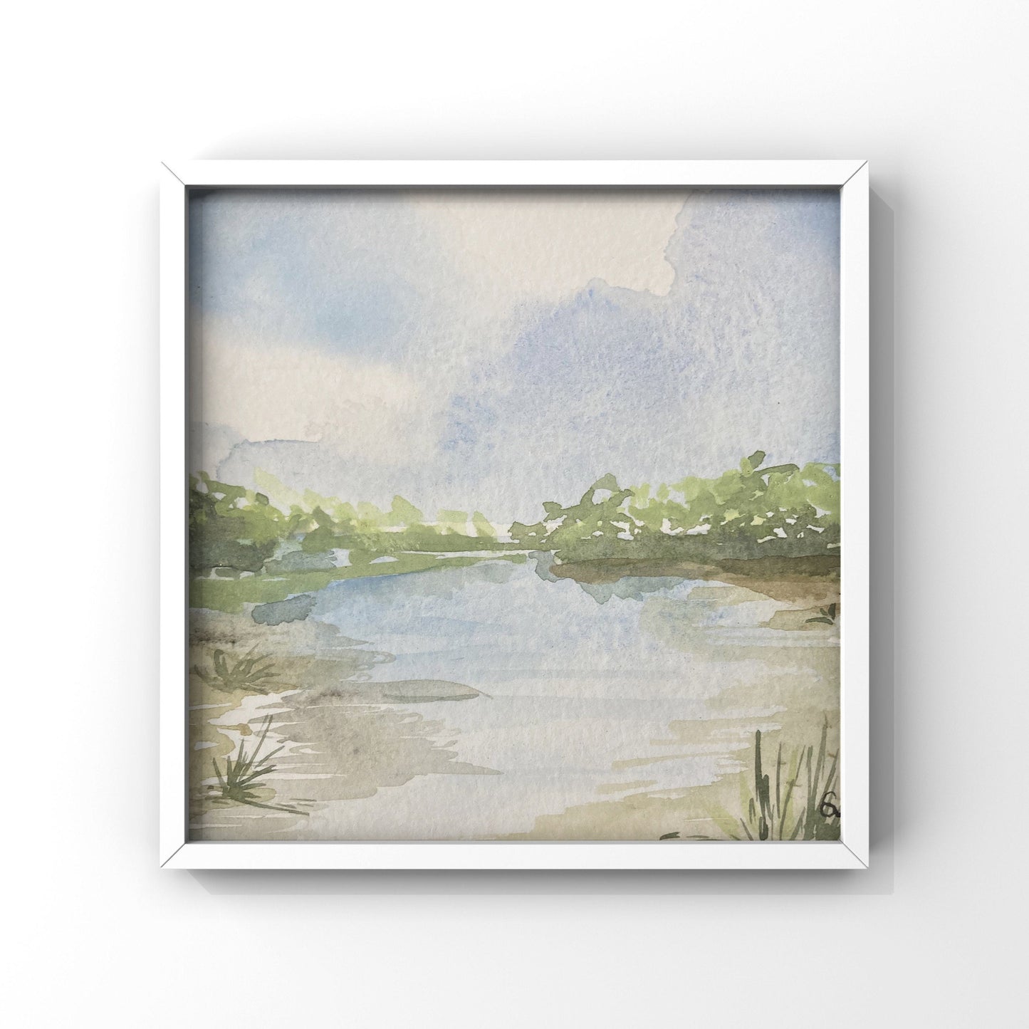 Salt Marsh Inlet