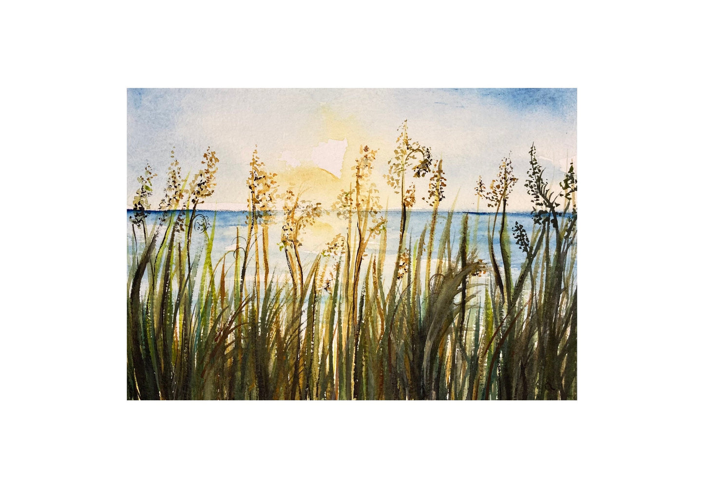 Sunset on Sullivan's Island