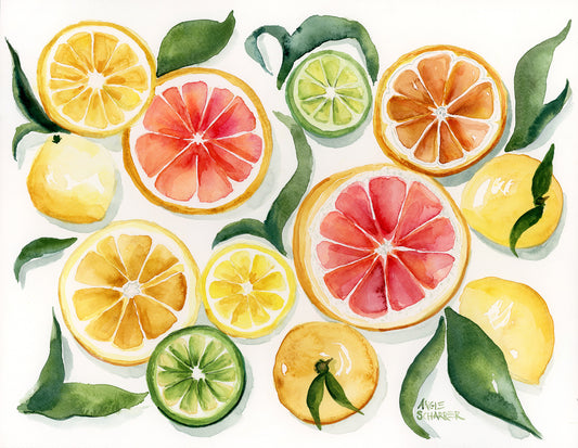 Mixed Citrus Study 2- Original Watercolor