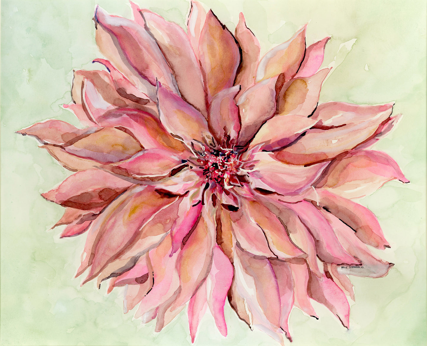 Pink Dahlia Original Watercolor