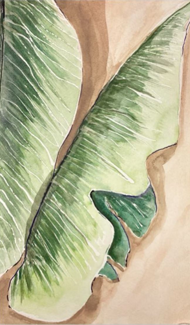 Banana Leaf III Original Watercolor - Riverlight Art Studio