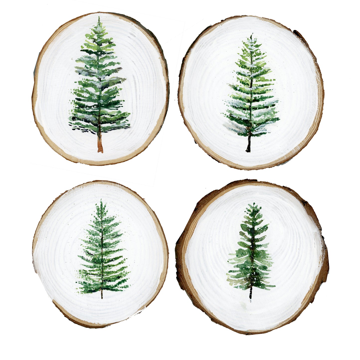 Evergreen Coaster Collection II, Pack of 4