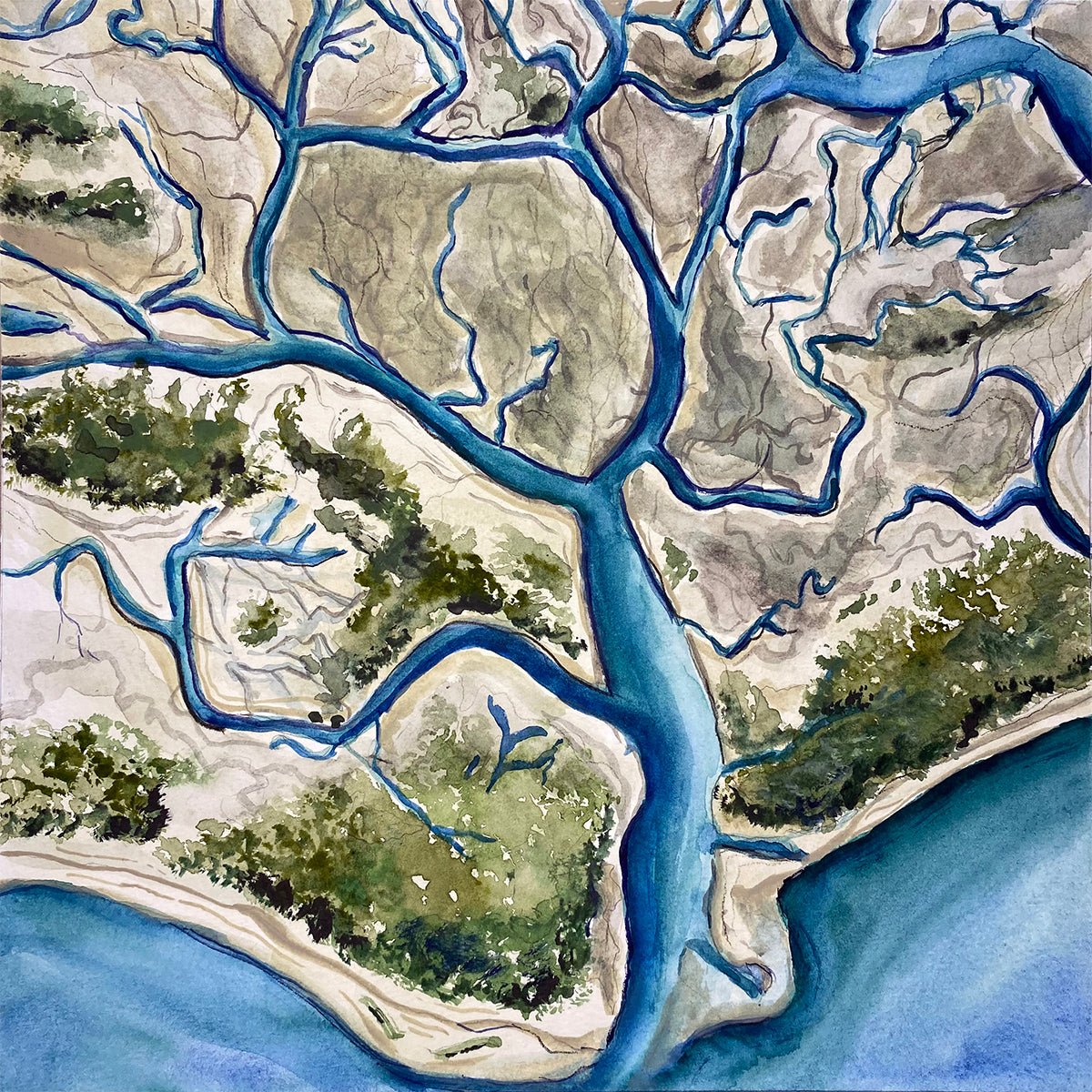 Fripp Island and Hunting Island Aerial Map - Riverlight Art Studio