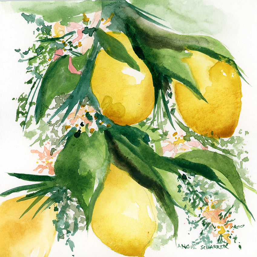 Meyer Lemons- Original Watercolor