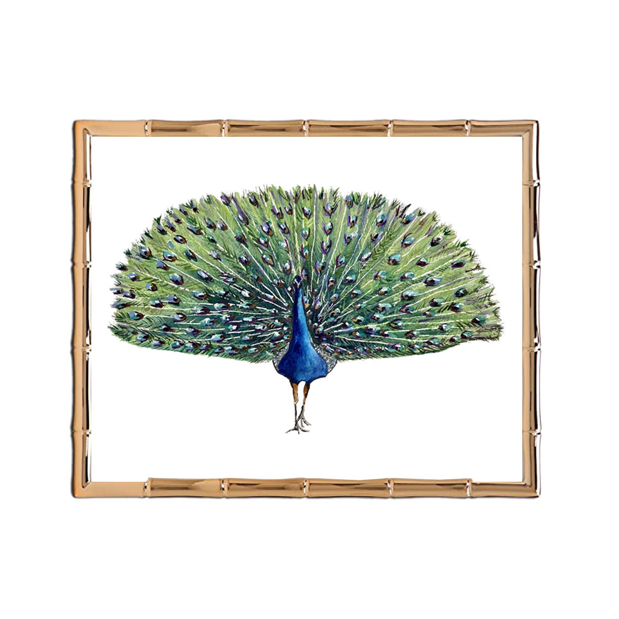 Peacock  Original Watercolor